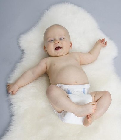 �������� ����������� ��� ������� ����� + �������! MamyPoko � Aqa baby, Cow � Pigeon- ����� 39