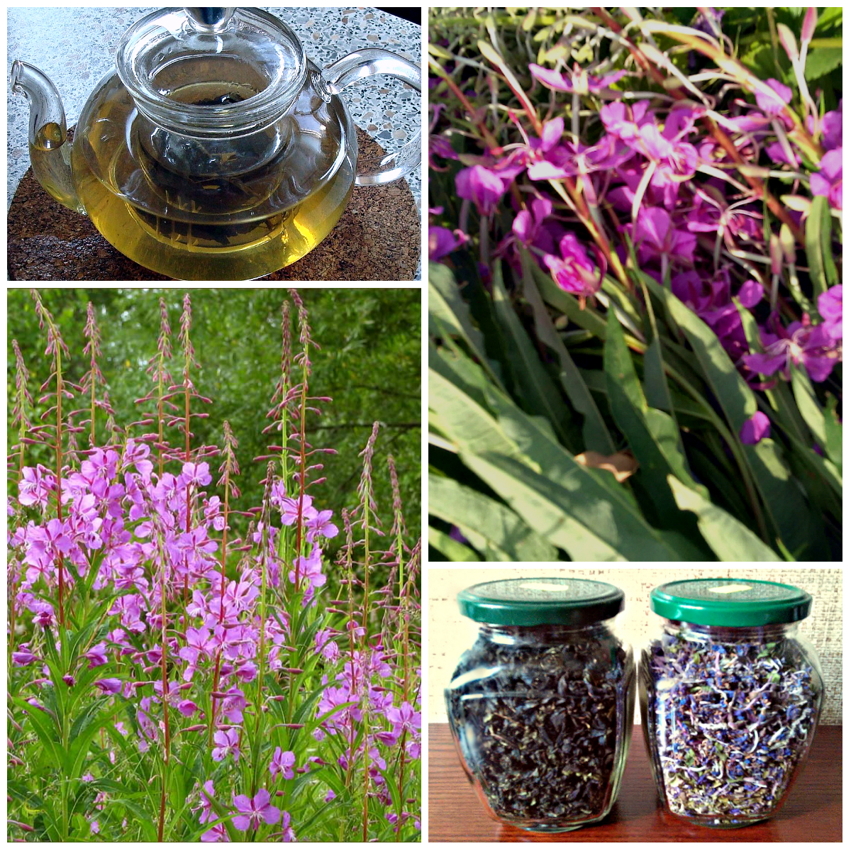 �������� ���