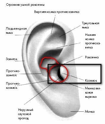 ������ ����� �������