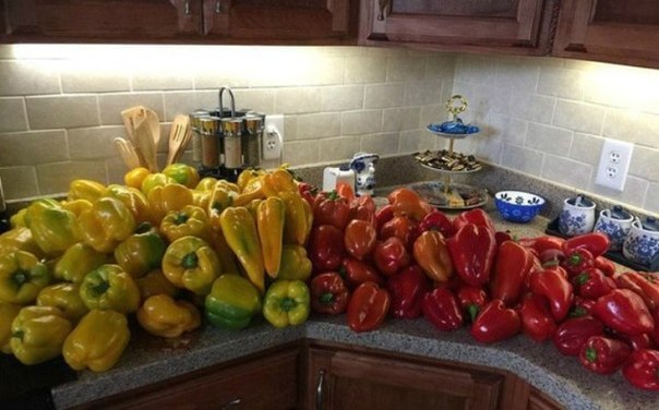 ������ ������� ����������� �� ����������� �����