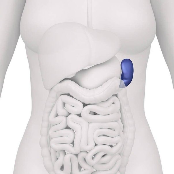 ��� ������� ��� ���������