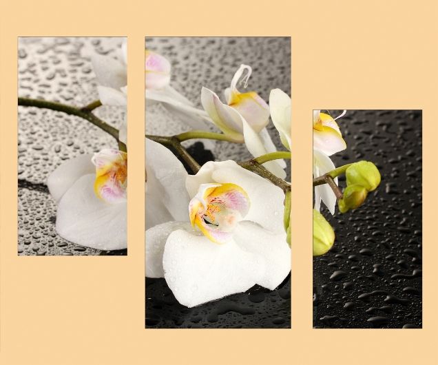 ��������� �������!