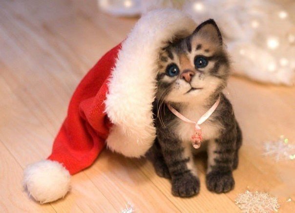 � �������� ������ ����!