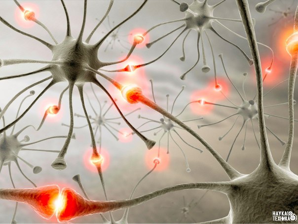 50 ��������, ������� ��������� ��� ��