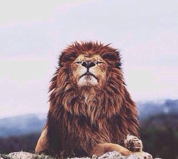 ������.����� ������ ���� �������?