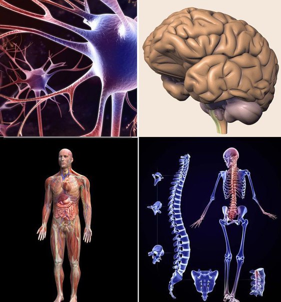 ���� ������������� ����.