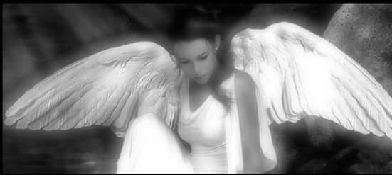 ������ ���������� ������� � ������ ������ �� ��������� ���������...