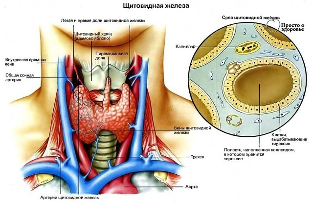 ������� ���������� ������ �� ��������� ���������