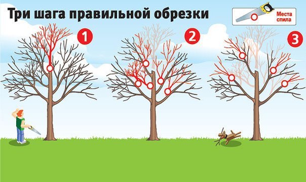 ��� ������� �������� ����� ���� [��� ���� ���������� �������]