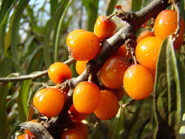 6 �������� �������� ������� ����� � �������� � ����������� ����� � ������� ��������