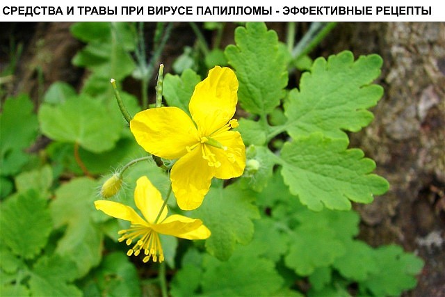 �������� � ����� ��� ������ ���������