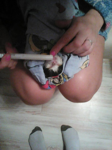 ������� �������