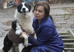 �������� �����