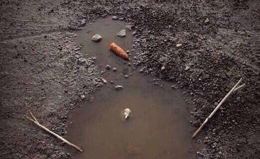 �������� 2015-2016