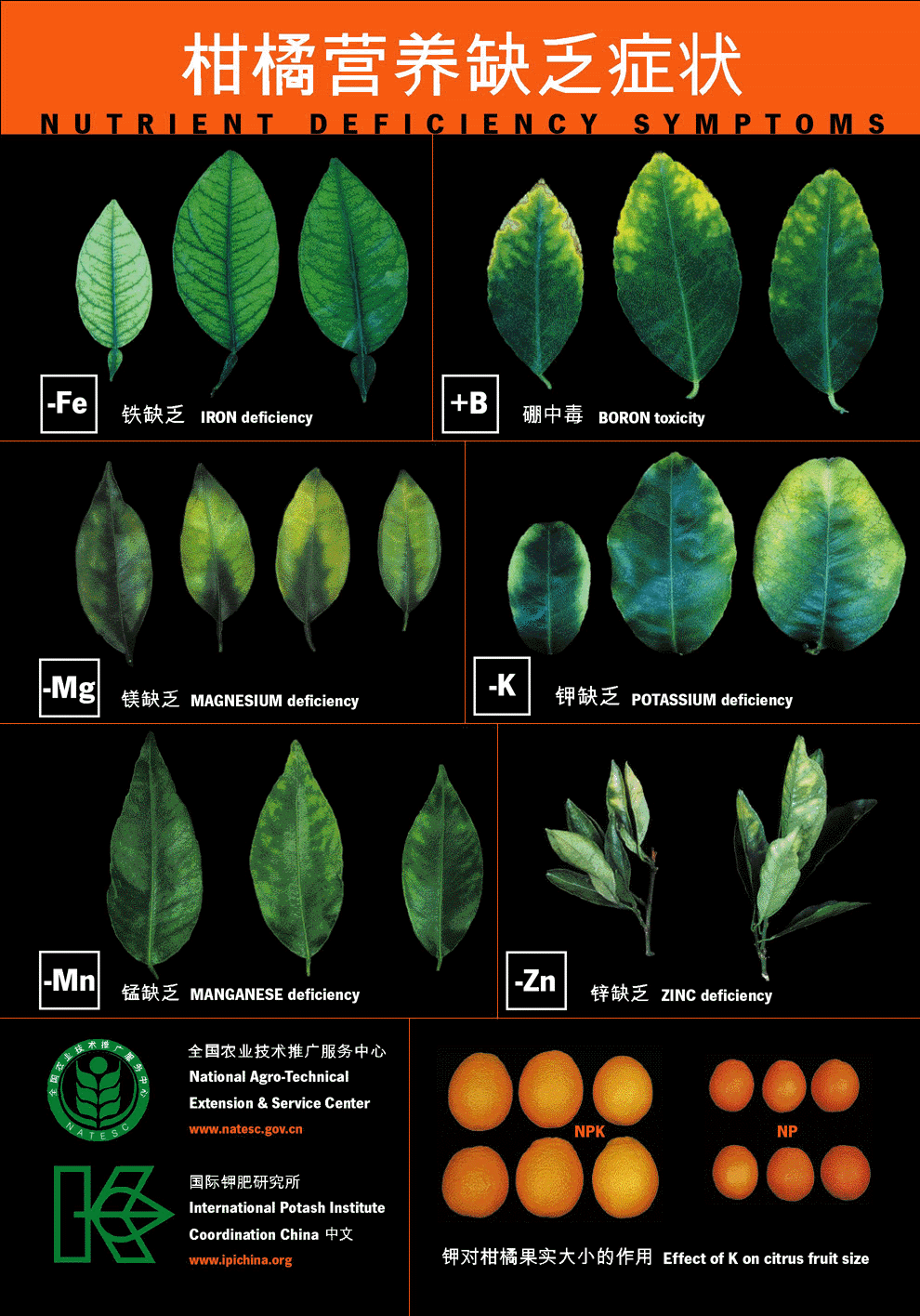 �������� �������������� � ����������