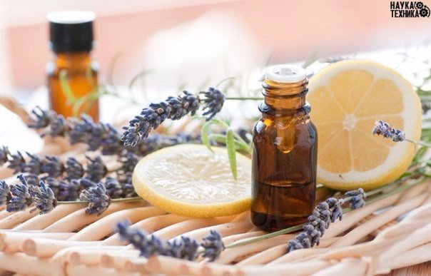 ������ ��� ������� ������������ � ����� ����������?