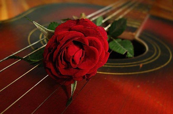 �������� ����� ��������� ������!