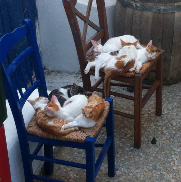 ���� ������ ��������. ��������� ���� ��� ���������� � �������� � ������ ����. ������!