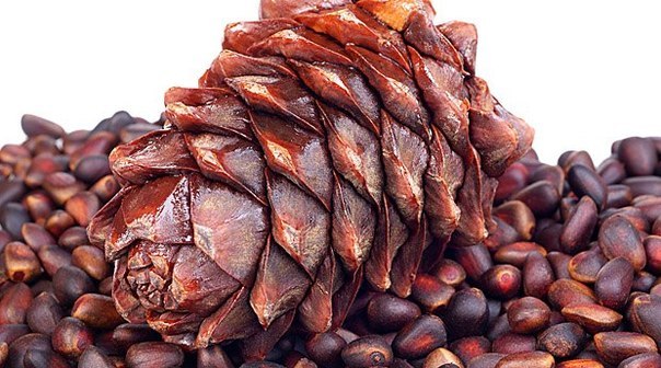 �������� �������� �������� ������