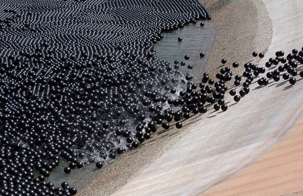 1000 �������