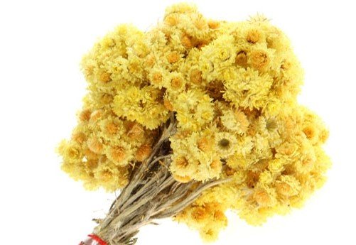 ������� ������������� ������� ���������