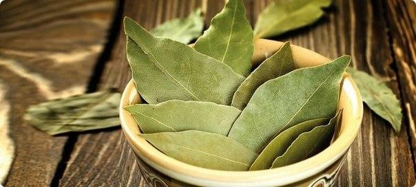 ��� ����� ������������ �������� ���� � �������� �����