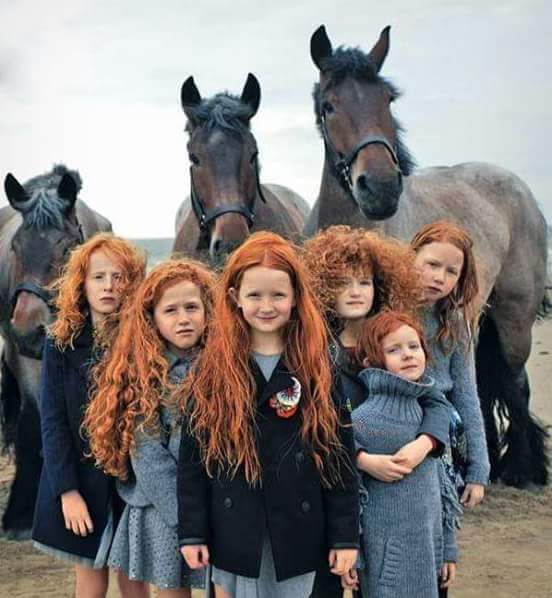 � ��������� ����� - ���������� ���� ����������