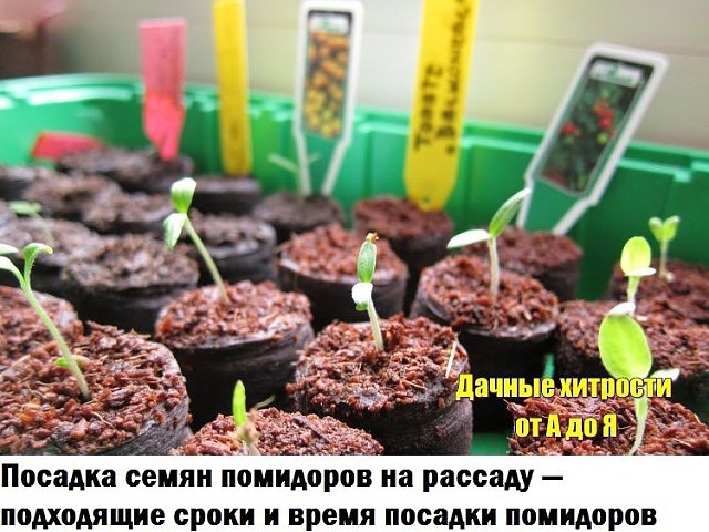 ������� ����� ��������� �� �������