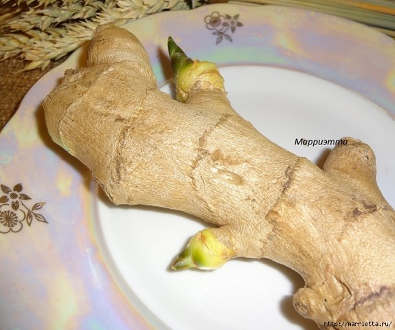 ��� ��������� ������ ����