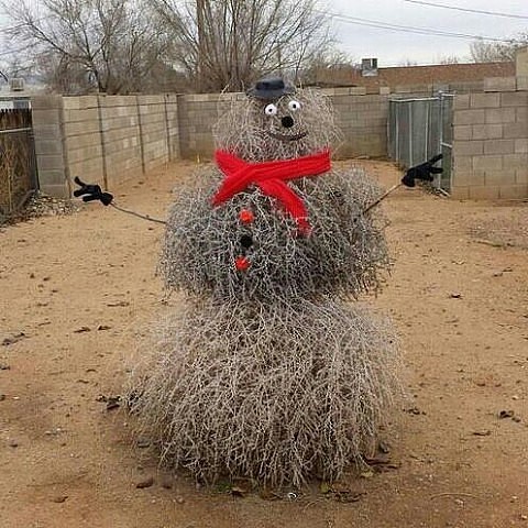 ���� �� ���� �������� �������... � ��� �� ����, � ������� ��� ���