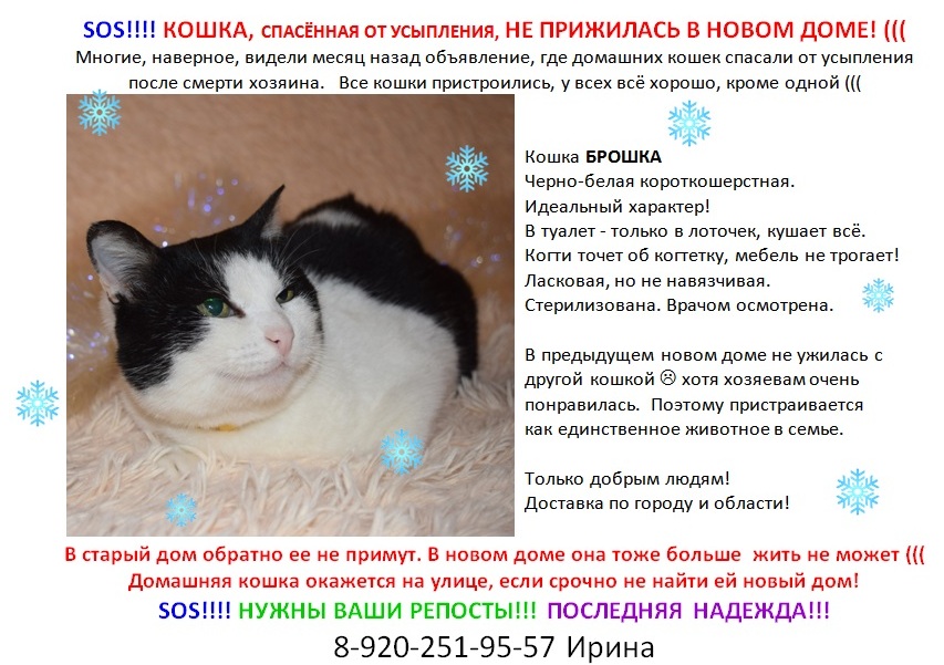 �������� ���� ���