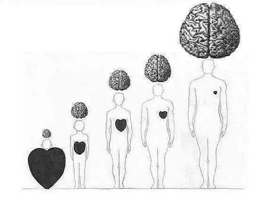 ����� ������...