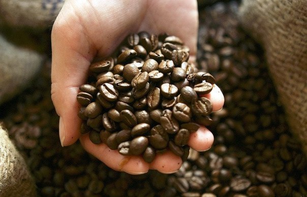 5 ��������, �� ������� �������� ����