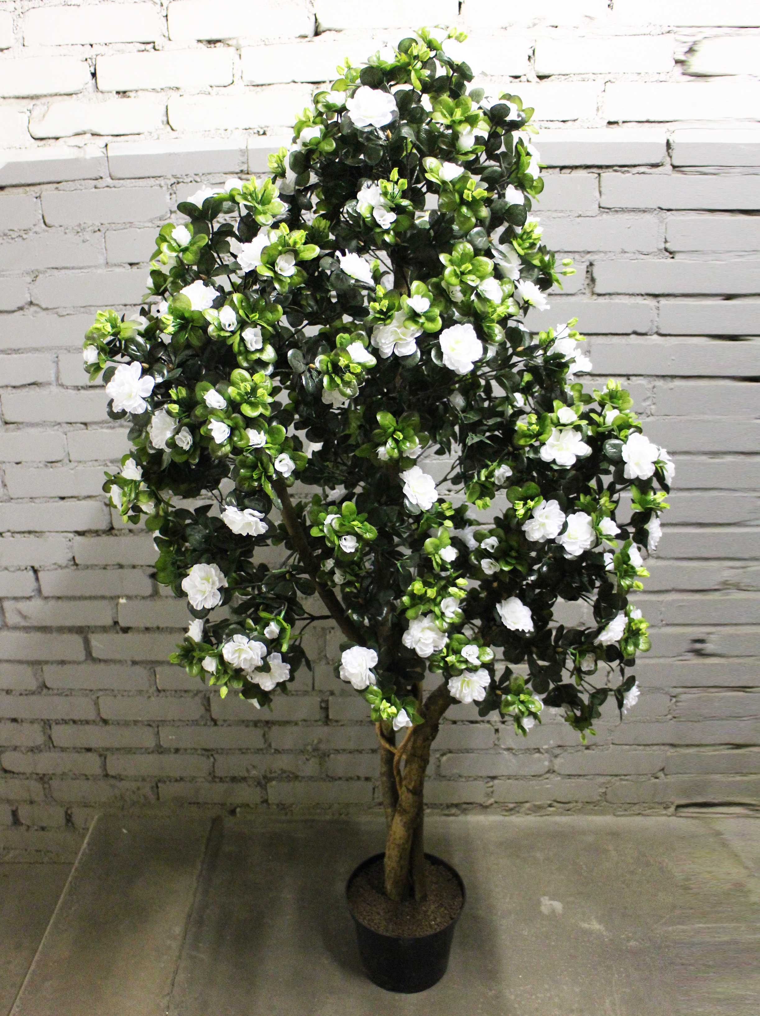 ���� �������. ���������� ��������� ����������� � ��������� ����������! ������ �� 25%. ����� �� ������� ������������� �������, ����� � �������, ��������� �����, ����������� �������, ������������� �����, ���������, ��������� ����� � ������. ����� 8.