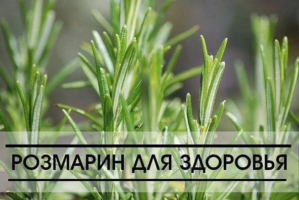 15 �������, � �������� ����������� ��������