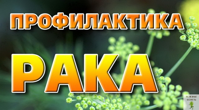 ������������ ����