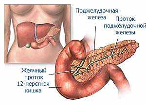 �������� ������: ��������, ��������, �������, �������