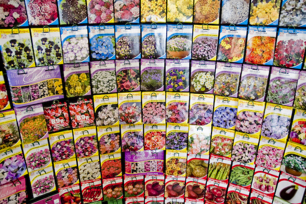 ������ ������, ������ � ������ ����!