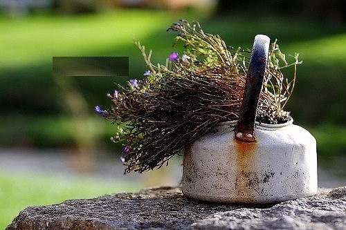 �������� �������� ��� �������������� ������ � �������� �������