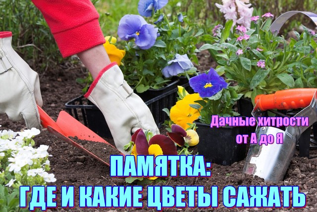 �������: ��� � ����� ����� ������