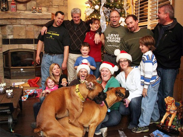 ������� ����������� �������� ����