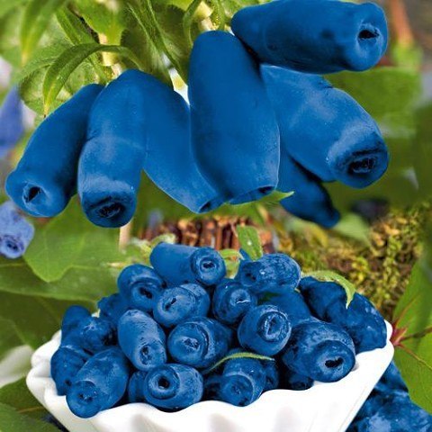 � �������� ��� ����� ������ ���� ����� ������:��������� ��� ������.