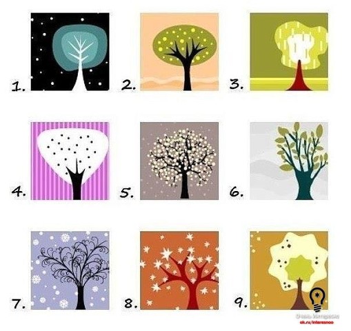 ���� ��������