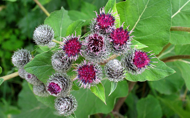 ����� ������ ���������