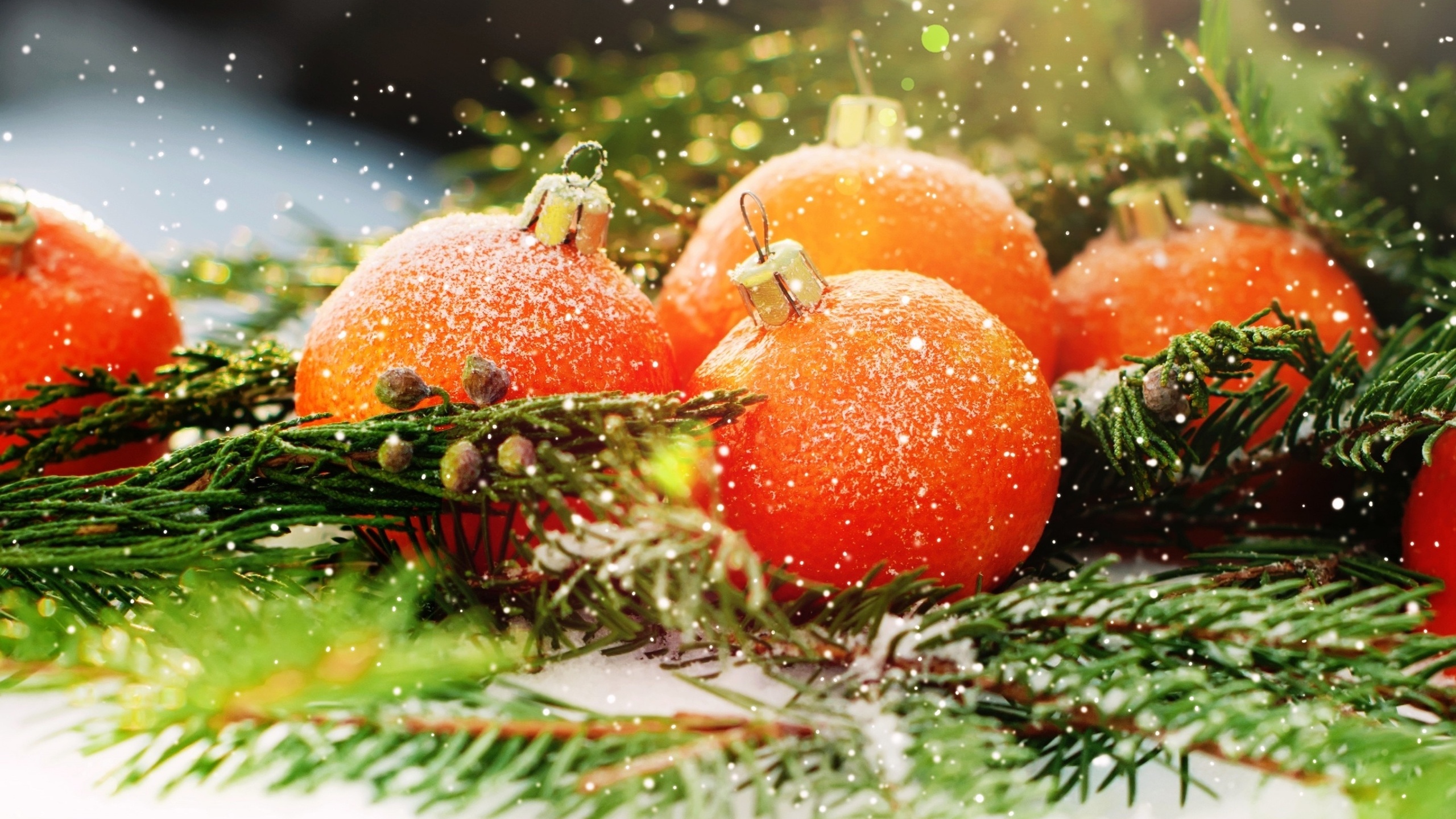 � ����������� ���.