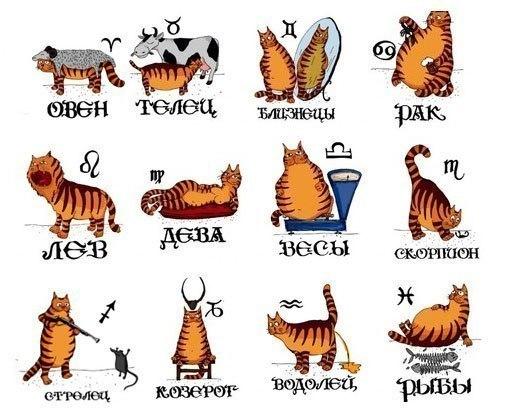 10 ��������� ������� ����� �������