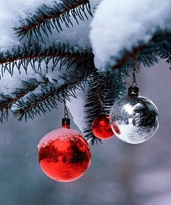 �������� �������� ���