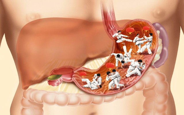 ����� �������. 26 ��������