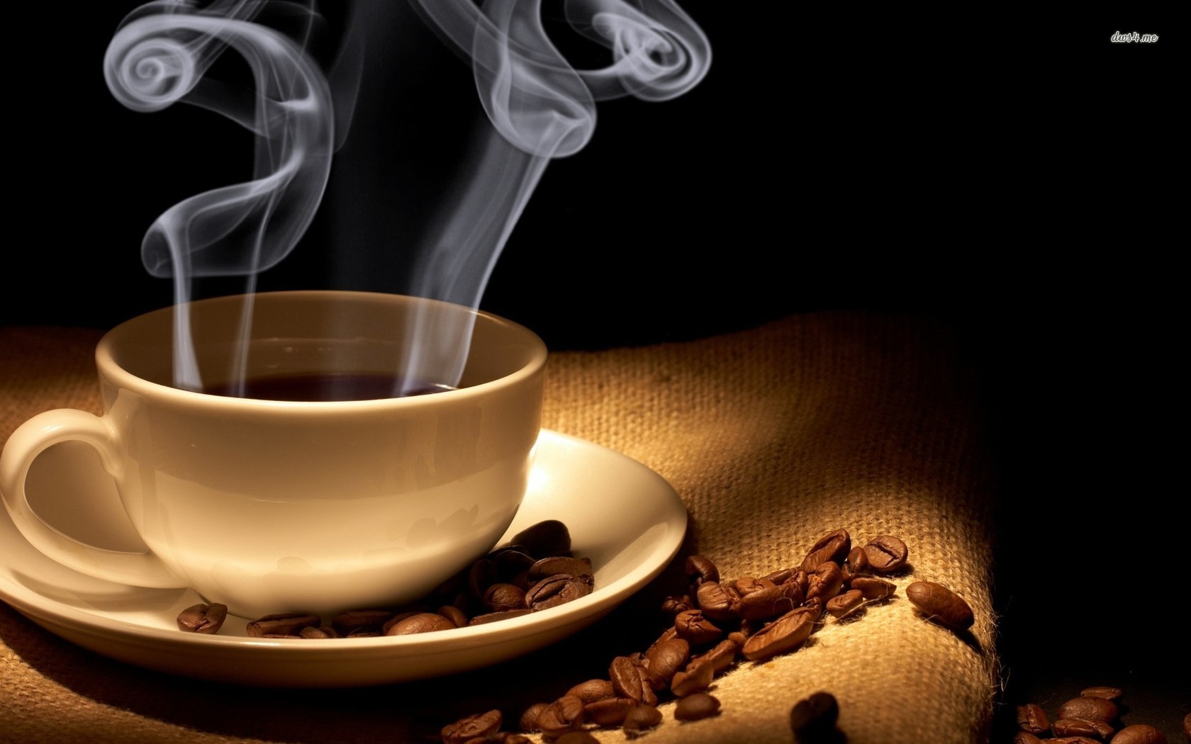 ���� �������. ���� � ������, �������, �������� �������, ��������, ������� �������, ��������������� ���, ����� ������, ������, �������� ��������, �������, ������ - ������� ��� � ����� � ����. ������� ������� �� 14 � 23 �������. �����-10.