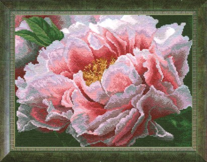 ���� �������.��������� ������� ��� ��������. �������� ����� ������� ��� ��������� �� �������� ����� �� 25 ������.